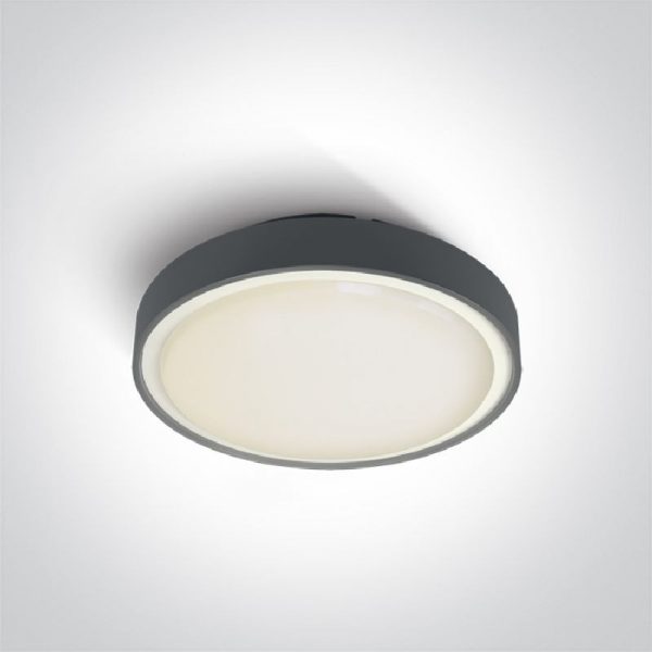 Vanjska svjetiljka stropna-zidna E27 antracit IP65